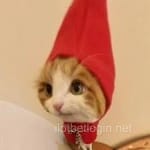 Avatar de Mauricio Calderón